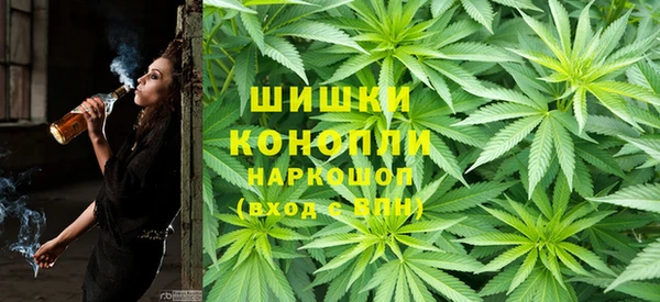 Альфа ПВП Каменка