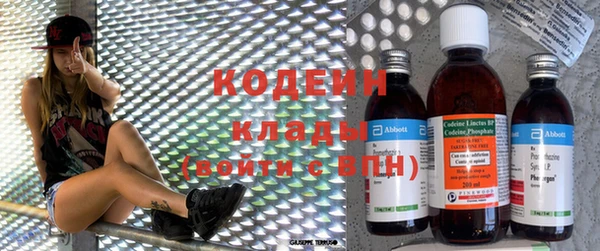 apvp Иннополис