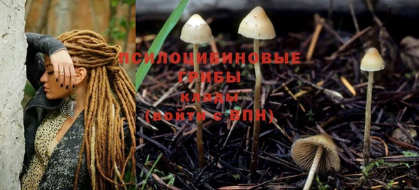 apvp Иннополис