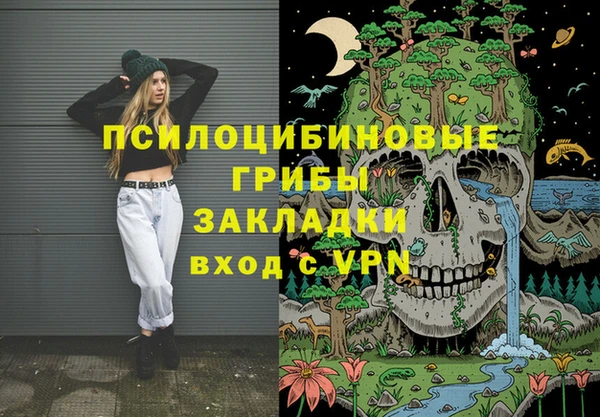 мяу мяу мука Инта