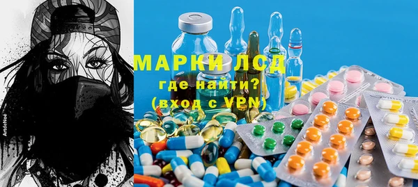 apvp Иннополис