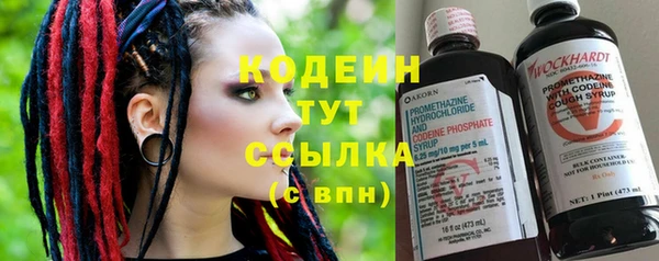 мяу мяу мука Инта