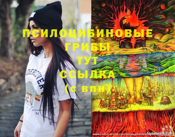 эйфоретик Инсар