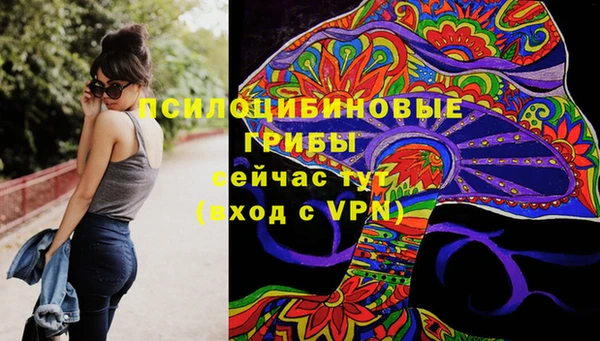 apvp Иннополис