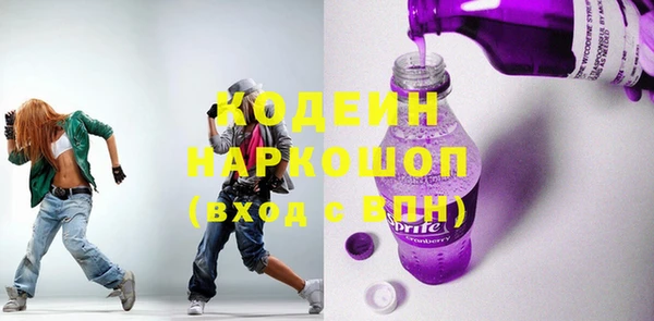 apvp Иннополис
