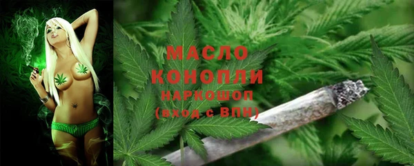 Альфа ПВП Каменка