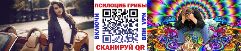 Купить  Истра  Галлюциногенные грибы Psilocybe 